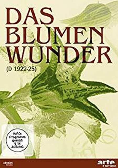 Das Blumenwunder